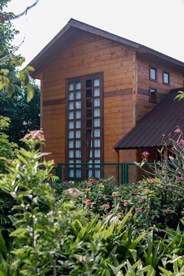 The Pine Loft Villa Bangalore Eksteriør bilde